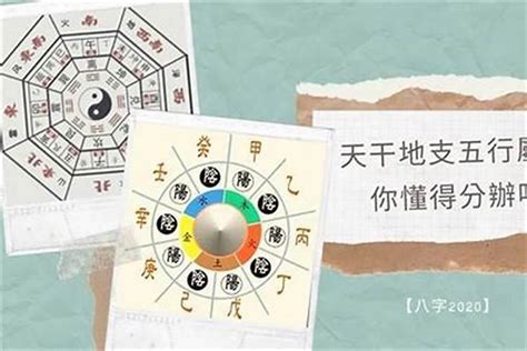 五行 算法|生辰八字算命、五行喜用神查詢（免費測算）